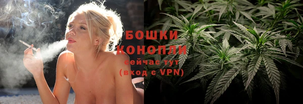 гидропоника Лагань