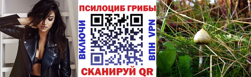 где купить наркоту  Холмск  Галлюциногенные грибы GOLDEN TEACHER 